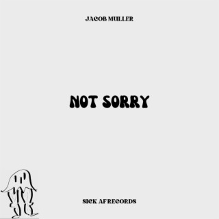 NOT SORRY lyrics | Boomplay Music