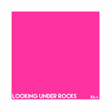 Looking Under Rocks | Boomplay Music