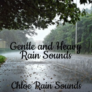 Gentle and Heavy Rain Sounds for Total Relaxation