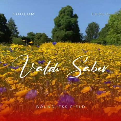 Boundless Field ft. Coolum & Eudlo