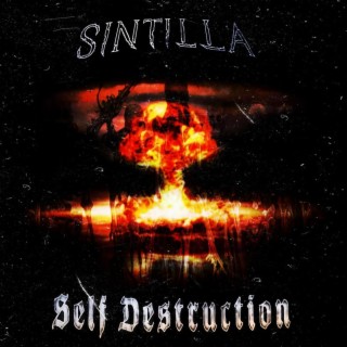 Self Destruction lyrics | Boomplay Music