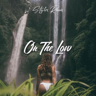 On The Low (Remix)