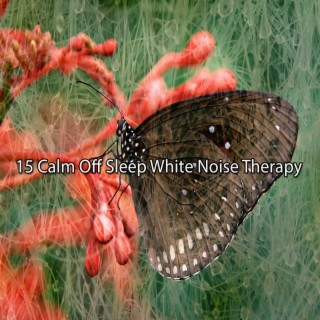 15 Calm Off Sleep White Noise Therapy