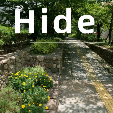 Hide | Boomplay Music