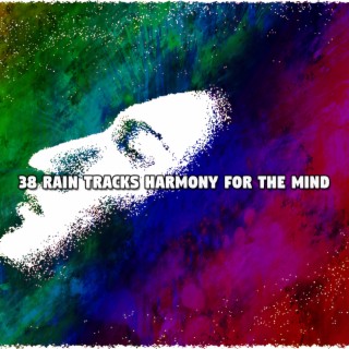 38 Rain Tracks Harmony For The Mind