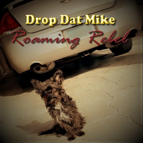 Roaming Rebel | Boomplay Music