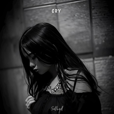 cry - slowed + reverb ft. acronym. & velocity | Boomplay Music
