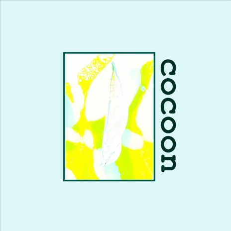 cocoon | Boomplay Music