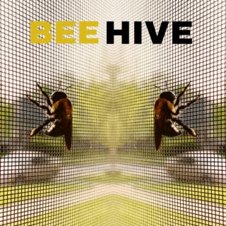 Beehive lyrics | Boomplay Music