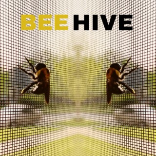 Beehive