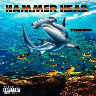 HammerHead