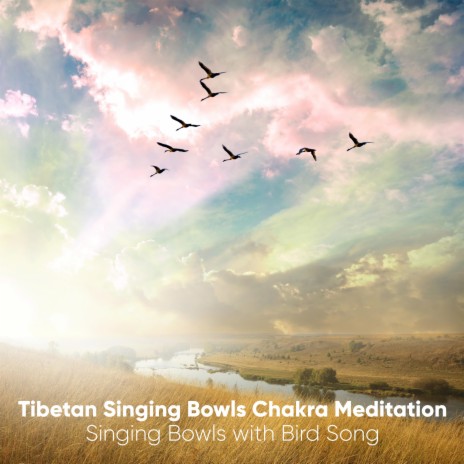 Singing Bowl A Third Eye with Bird Song | Boomplay Music