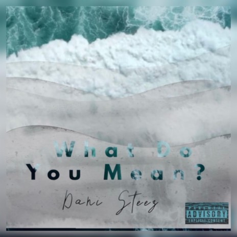 What Do You Mean ? | Boomplay Music