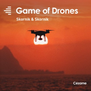 Game of Drones