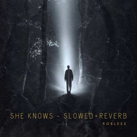 She knows (Slowed+Reverb) | Boomplay Music