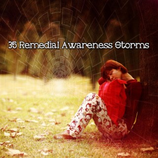 35 Remedial Awareness Storms