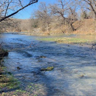 Down By The River