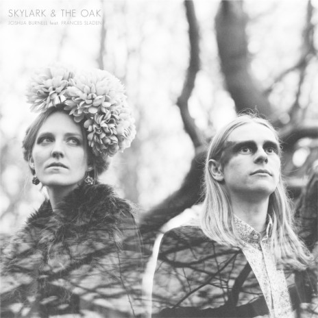 Skylark & the Oak | Boomplay Music