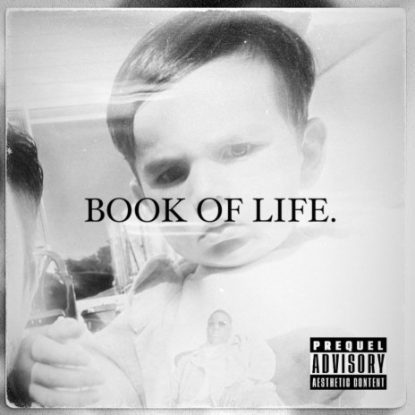 BOOK OF LIFE. | Boomplay Music