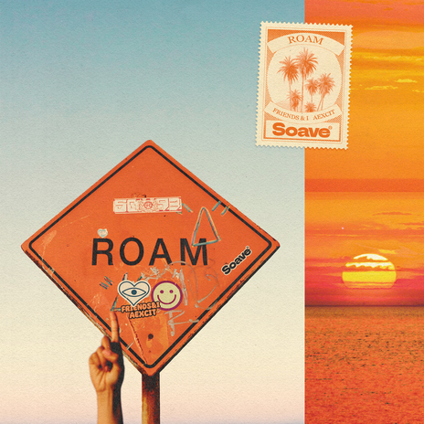 Roam ft. Aexcit | Boomplay Music