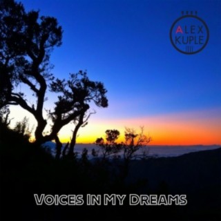 Voices In My Dreams