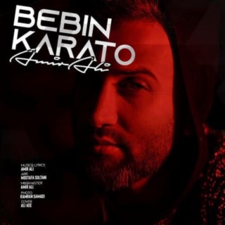 Bebin Karato