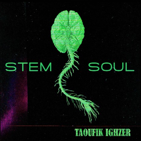 stem soul | Boomplay Music