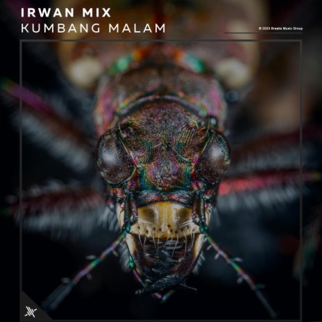 Kumbang Malam | Boomplay Music