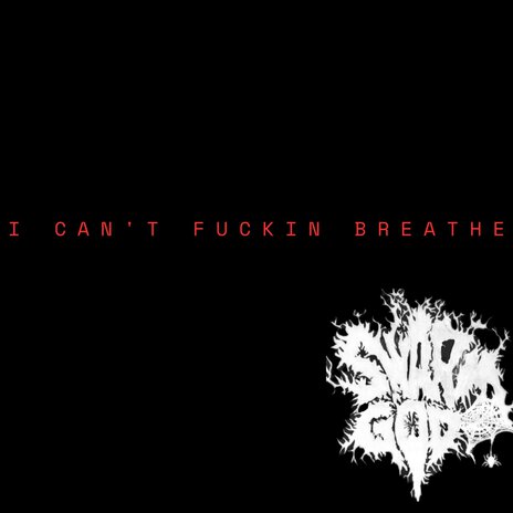 I Can't Fuckin Breathe | Boomplay Music