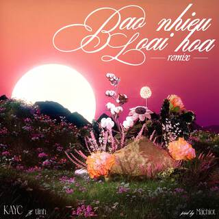 Bao Nhiêu Loài Hoa Remix (feat. tlinh, Machiot)