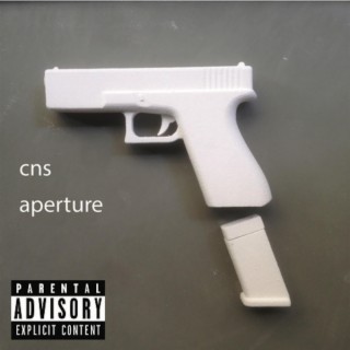 CNS