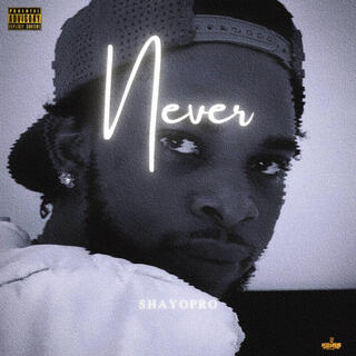 Never lyrics | Boomplay Music