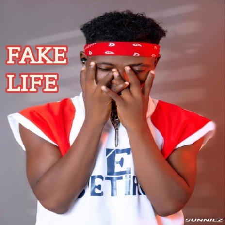 Fake Life | Boomplay Music