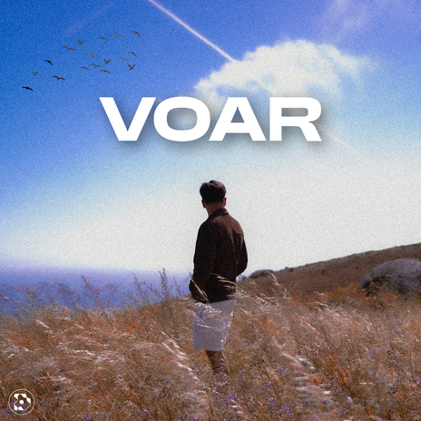 VOAR | Boomplay Music