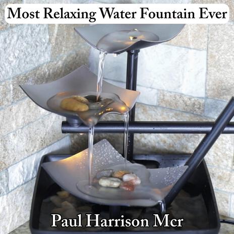 Most Relaxing Water Fountain Ever