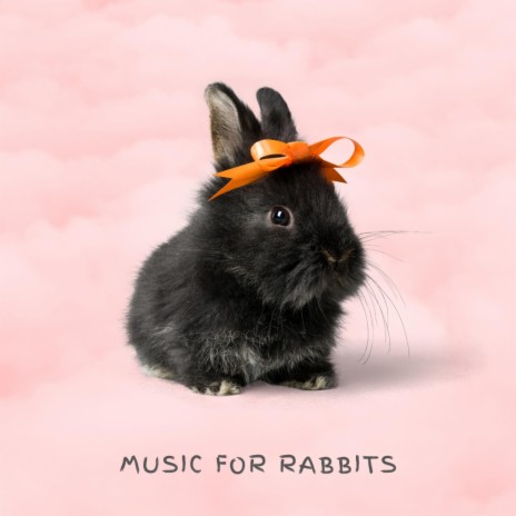 Rabbit Music | Boomplay Music