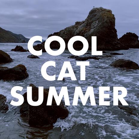 Cool Cat Summer | Boomplay Music