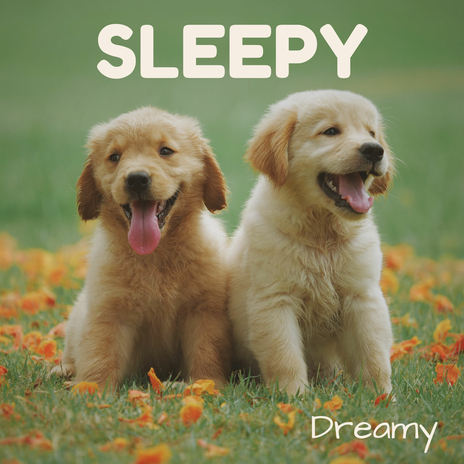 Sleepy | Boomplay Music