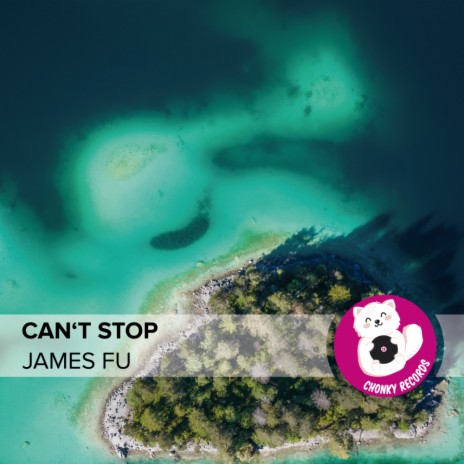 Can't Stop | Boomplay Music