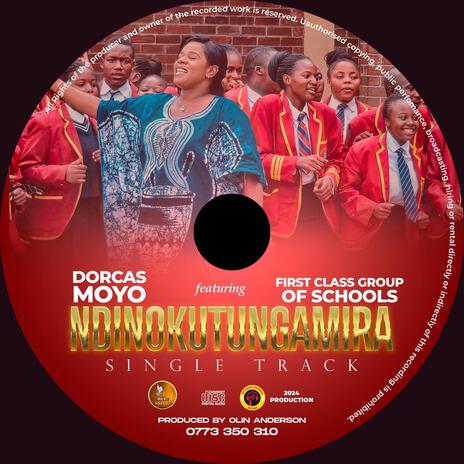 Ndinokutungamirira | Boomplay Music