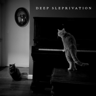 Deep Sleprivation