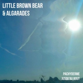 Little Brown Bear - Algarades