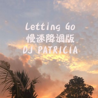 Letting Go -慢速降调版DJ PATRICIA