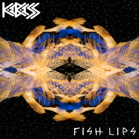 Fish Lips | Boomplay Music