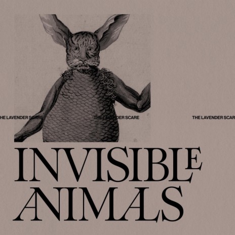 Invisible Animals | Boomplay Music