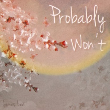 Probably Won't | Boomplay Music