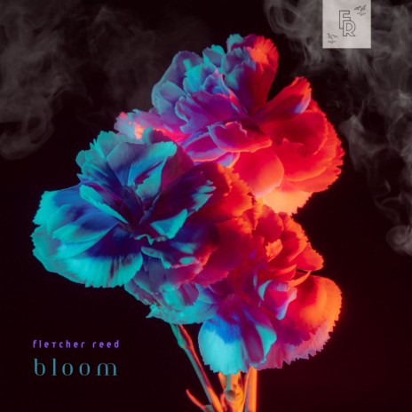 Bloom - Meditation
