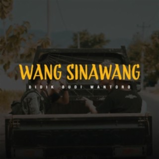 Wang Sinawang