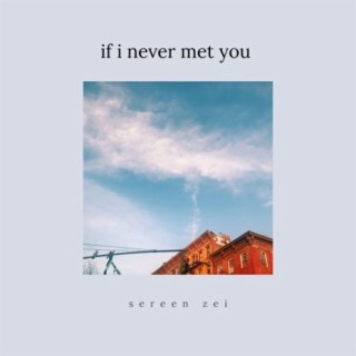 if i never met you