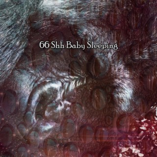 66 Shh Baby Sleeping